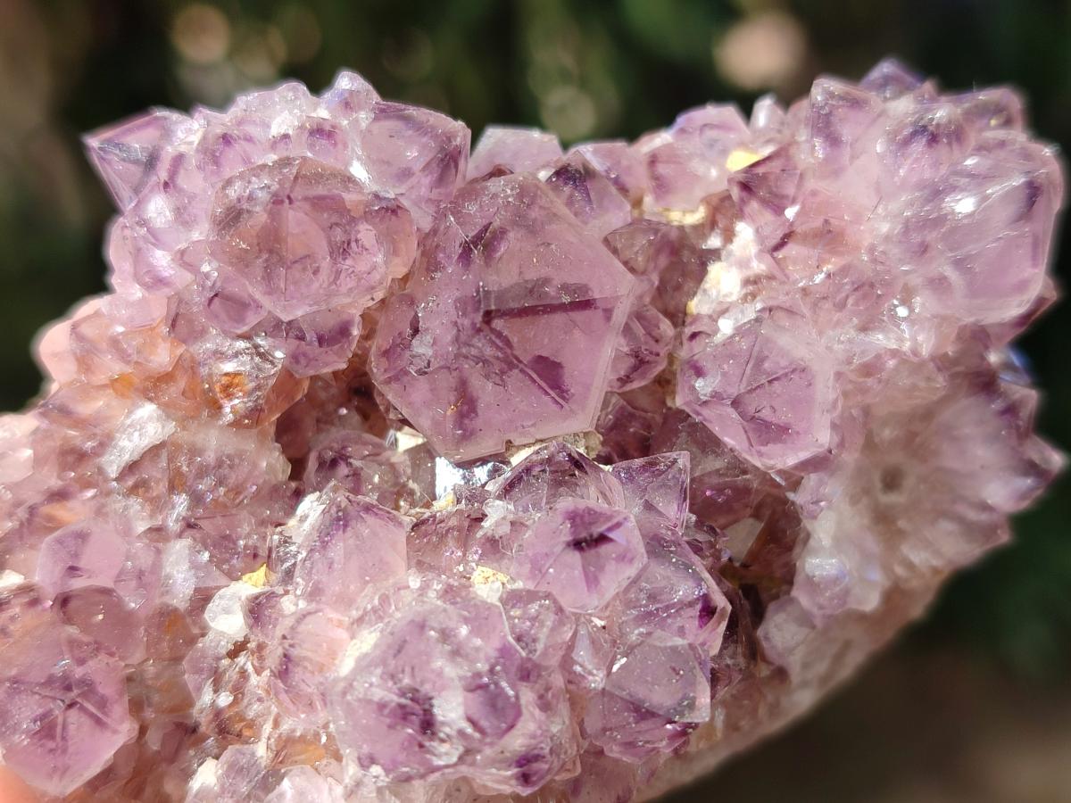 Natural Mixed Spirit Amethyst Clusters x 12 From Boekenhouthoek, South Africa - Toprock Gemstones and Minerals 