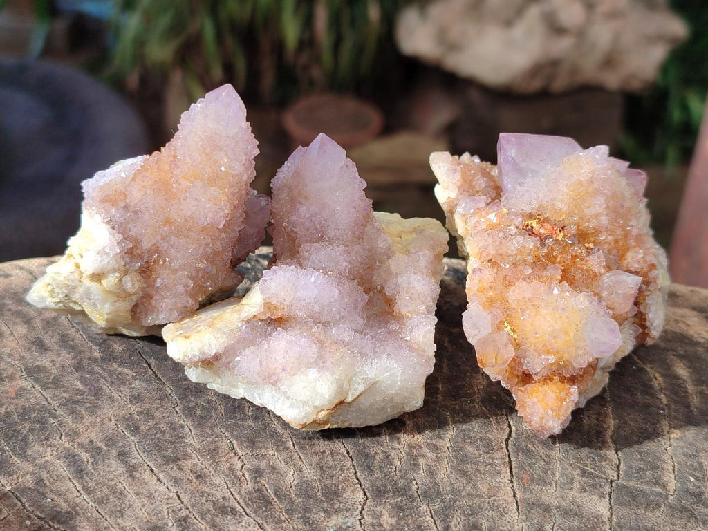 Natural Mixed Spirit Amethyst Clusters x 12 From Boekenhouthoek, South Africa - Toprock Gemstones and Minerals 