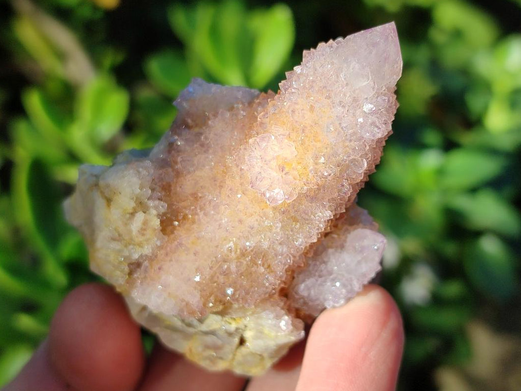 Natural Mixed Spirit Amethyst Clusters x 12 From Boekenhouthoek, South Africa - Toprock Gemstones and Minerals 