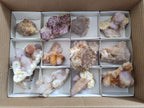 Natural Mixed Spirit Amethyst Clusters x 12 From Boekenhouthoek, South Africa - Toprock Gemstones and Minerals 