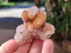 Natural Mixed Spirit Amethyst Clusters x 12 From Boekenhouthoek, South Africa - Toprock Gemstones and Minerals 