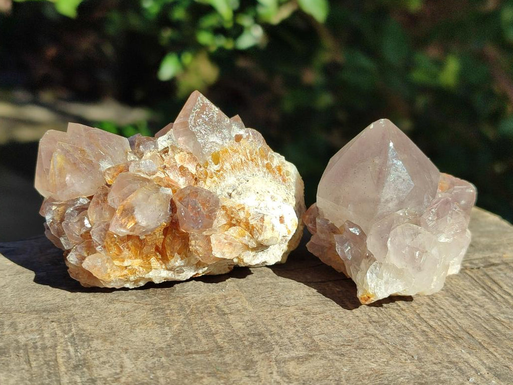 Natural Mixed Spirit Amethyst Clusters x 12 From Boekenhouthoek, South Africa - Toprock Gemstones and Minerals 