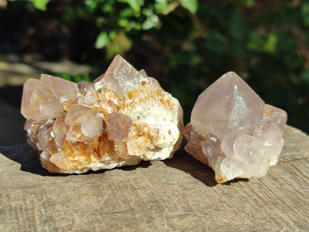 Natural Mixed Spirit Amethyst Clusters x 12 From Boekenhouthoek, South Africa - Toprock Gemstones and Minerals 