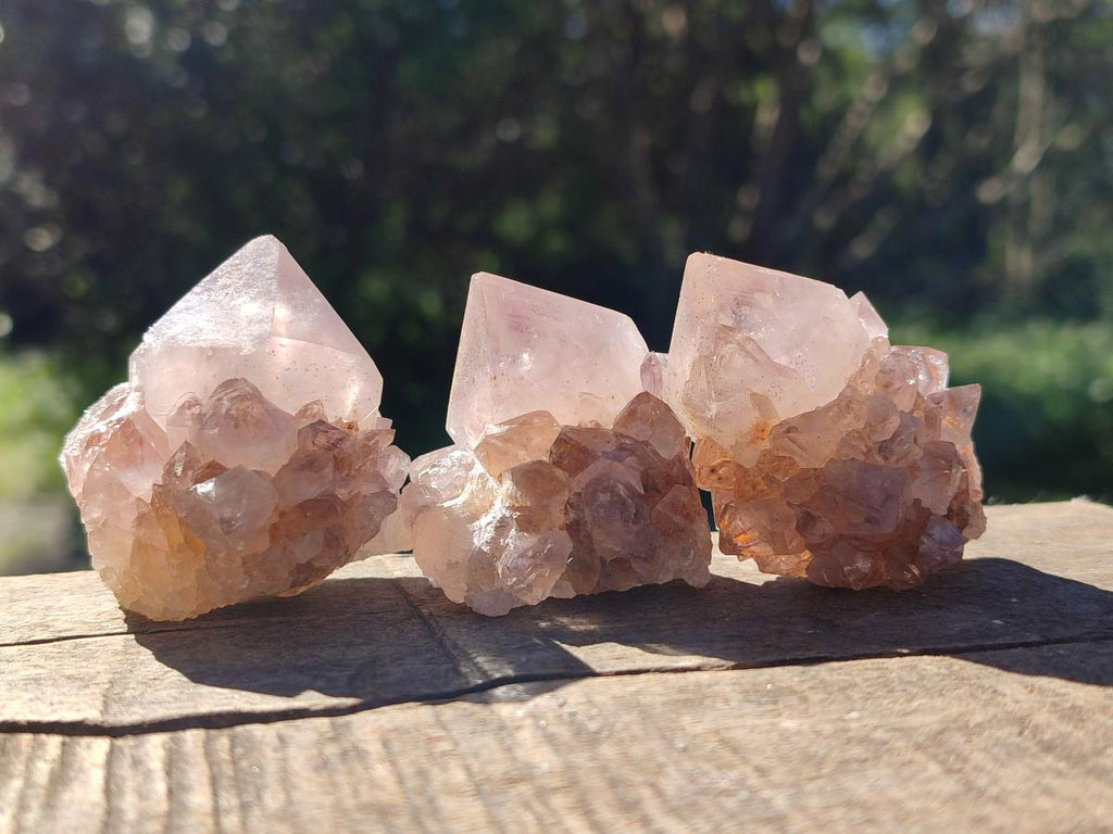 Natural Mixed Spirit Amethyst Clusters x 12 From Boekenhouthoek, South Africa - Toprock Gemstones and Minerals 