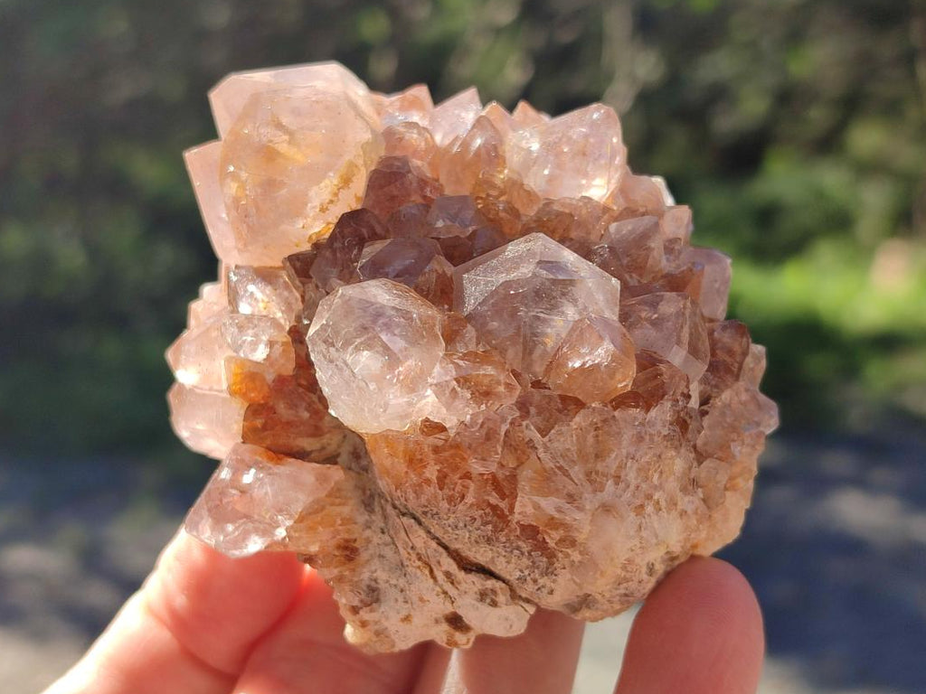 Natural Mixed Spirit Amethyst Clusters x 12 From Boekenhouthoek, South Africa - Toprock Gemstones and Minerals 