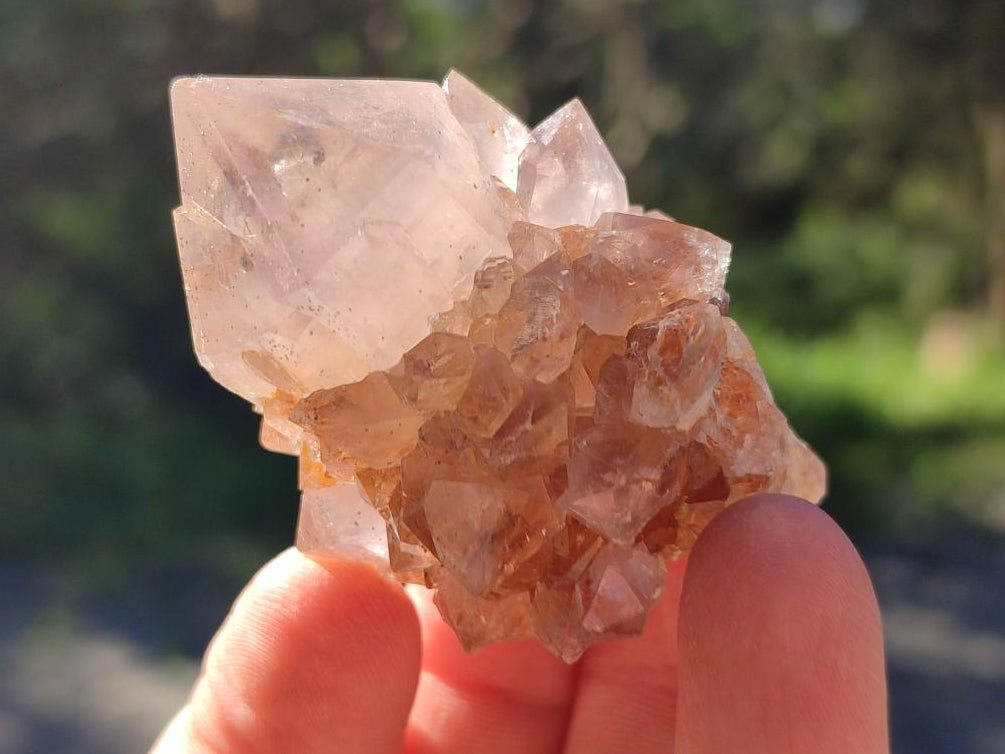 Natural Mixed Spirit Amethyst Clusters x 12 From Boekenhouthoek, South Africa - Toprock Gemstones and Minerals 