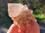 Natural Mixed Spirit Amethyst Clusters x 12 From Boekenhouthoek, South Africa - Toprock Gemstones and Minerals 