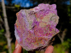 Natural Cobbed Stichtite Specimens x 12 From Barberton, South Africa - Toprock Gemstones and Minerals 