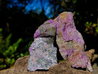 Natural Cobbed Stichtite Specimens x 12 From Barberton, South Africa - Toprock Gemstones and Minerals 