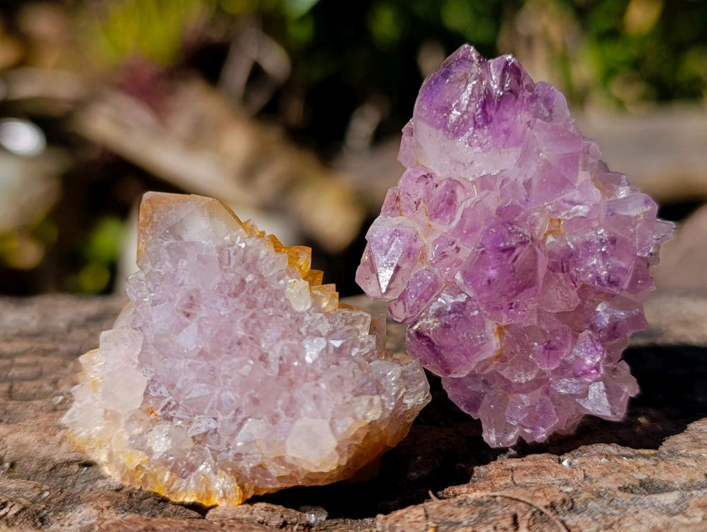 Natural Mixed Spirit Quartz Clusters x 35 From Boekenhouthoek, South Africa - Toprock Gemstones and Minerals 
