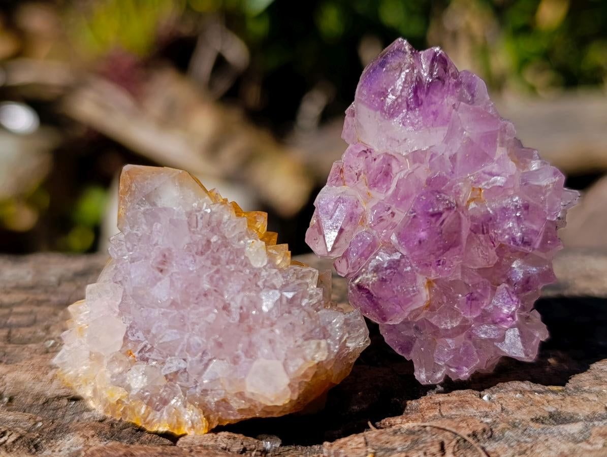 Natural Mixed Spirit Quartz Clusters x 35 From Boekenhouthoek, South Africa - Toprock Gemstones and Minerals 