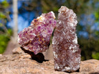 Natural Mixed Spirit Quartz Clusters x 35 From Boekenhouthoek, South Africa - Toprock Gemstones and Minerals 