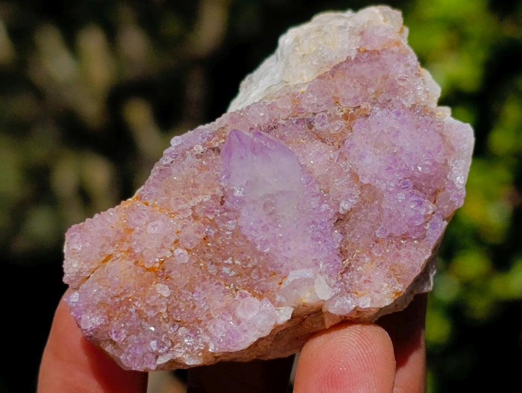 Natural Mixed Spirit Quartz Clusters x 35 From Boekenhouthoek, South Africa - Toprock Gemstones and Minerals 