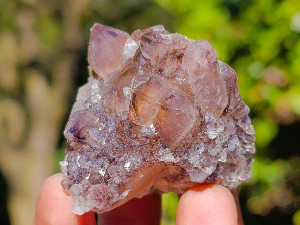 Natural Mixed Spirit Quartz Clusters x 35 From Boekenhouthoek, South Africa - Toprock Gemstones and Minerals 