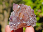 Natural Mixed Spirit Quartz Clusters x 35 From Boekenhouthoek, South Africa - Toprock Gemstones and Minerals 