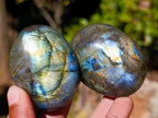 Polished Labradorite Palm Stones x 24 From Madagascar - Toprock Gemstones and Minerals 