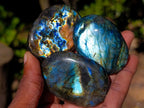 Polished Labradorite Palm Stones x 24 From Madagascar - Toprock Gemstones and Minerals 