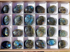 Polished Labradorite Palm Stones x 24 From Madagascar - Toprock Gemstones and Minerals 