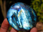 Polished Labradorite Palm Stones x 24 From Madagascar - Toprock Gemstones and Minerals 