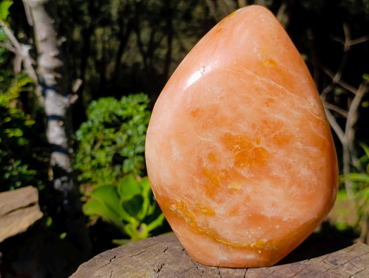 Polished Large Orange Twist Calcite Standing Display Piece x 1 From Maevantanana, Madagascar - Toprock Gemstones and Minerals 