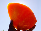 Polished Large Orange Twist Calcite Standing Display Piece x 1 From Maevantanana, Madagascar - Toprock Gemstones and Minerals 
