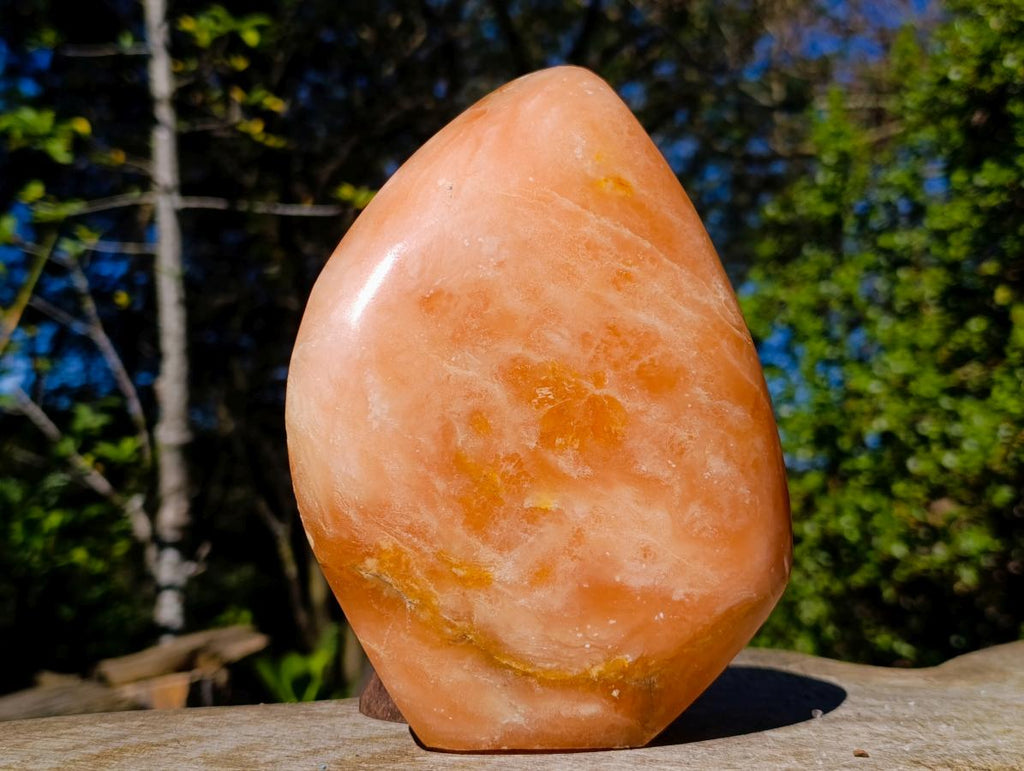 Polished Large Orange Twist Calcite Standing Display Piece x 1 From Maevantanana, Madagascar - Toprock Gemstones and Minerals 