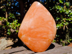 Polished Large Orange Twist Calcite Standing Display Piece x 1 From Maevantanana, Madagascar - Toprock Gemstones and Minerals 
