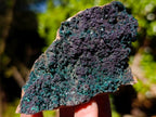Natural Libethenite Crystals on Dolomite Matrix Specimens x 6 From Shituru, Congo - Toprock Gemstones and Minerals 