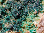 Natural Libethenite Crystals on Dolomite Matrix Specimens x 6 From Shituru, Congo - Toprock Gemstones and Minerals 