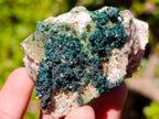 Natural Libethenite Crystals on Dolomite Matrix Specimens x 6 From Shituru, Congo - Toprock Gemstones and Minerals 