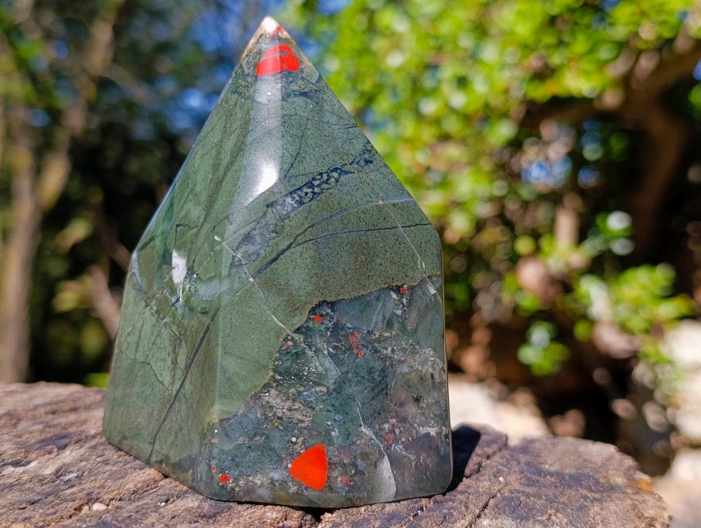 Polished Bloodstone Display Crystal Points x 2 From Swaziland - Toprock Gemstones and Minerals 