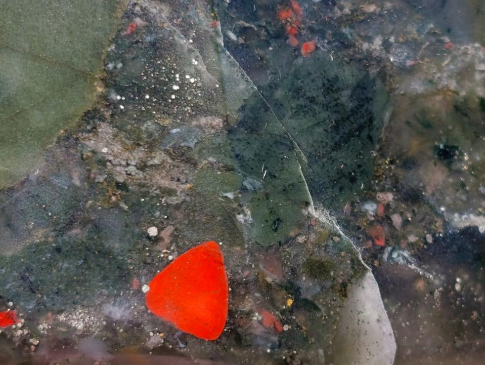 Polished Bloodstone Display Crystal Points x 2 From Swaziland - Toprock Gemstones and Minerals 