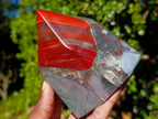 Polished Bloodstone Display Crystal Points x 2 From Swaziland - Toprock Gemstones and Minerals 