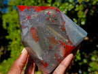 Polished Bloodstone Display Crystal Points x 2 From Swaziland - Toprock Gemstones and Minerals 