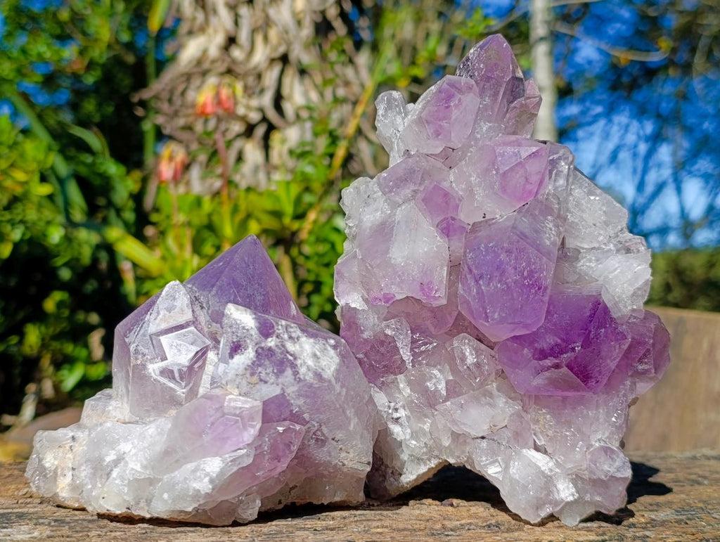 Natural Jacaranda Amethyst Clusters x 2 From Mumbwa, Zambia - Toprock Gemstones and Minerals 