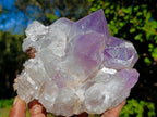 Natural Jacaranda Amethyst Clusters x 2 From Mumbwa, Zambia - Toprock Gemstones and Minerals 