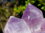 Natural Jacaranda Amethyst Clusters x 2 From Mumbwa, Zambia - Toprock Gemstones and Minerals 