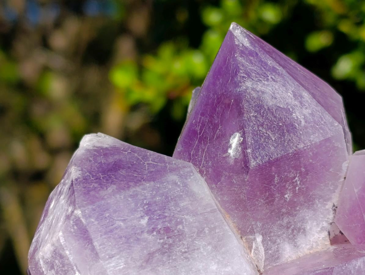 Natural Jacaranda Amethyst Clusters x 2 From Mumbwa, Zambia - Toprock Gemstones and Minerals 