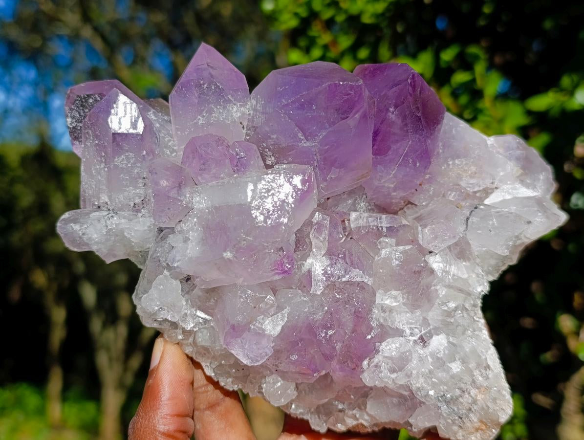 Natural Jacaranda Amethyst Clusters x 2 From Mumbwa, Zambia - Toprock Gemstones and Minerals 
