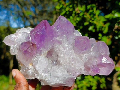Natural Jacaranda Amethyst Clusters x 2 From Mumbwa, Zambia - Toprock Gemstones and Minerals 