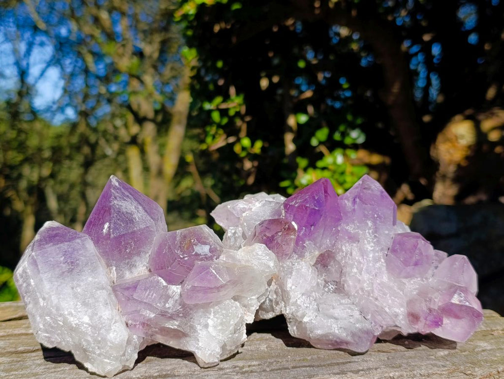 Natural Jacaranda Amethyst Clusters x 2 From Mumbwa, Zambia - Toprock Gemstones and Minerals 