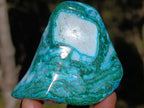 Polished Malacolla Free Forms x 4 From Kulukuluku, Congo - Toprock Gemstones and Minerals 