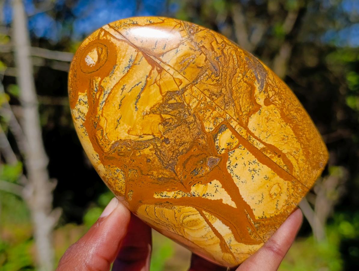 Polished Picture Stone Jasper Standing Display Pieces x 2 From Ais-Ais, Namibia - Toprock Gemstones and Minerals 