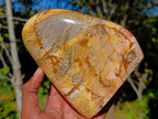 Polished Picture Stone Jasper Standing Display Pieces x 2 From Ais-Ais, Namibia - Toprock Gemstones and Minerals 
