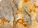Polished Picture Stone Jasper Standing Display Pieces x 2 From Ais-Ais, Namibia - Toprock Gemstones and Minerals 