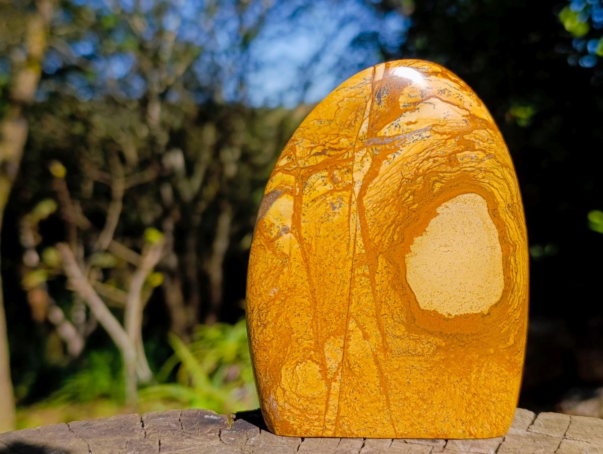 Polished Picture Stone Jasper Standing Display Pieces x 2 From Ais-Ais, Namibia - Toprock Gemstones and Minerals 