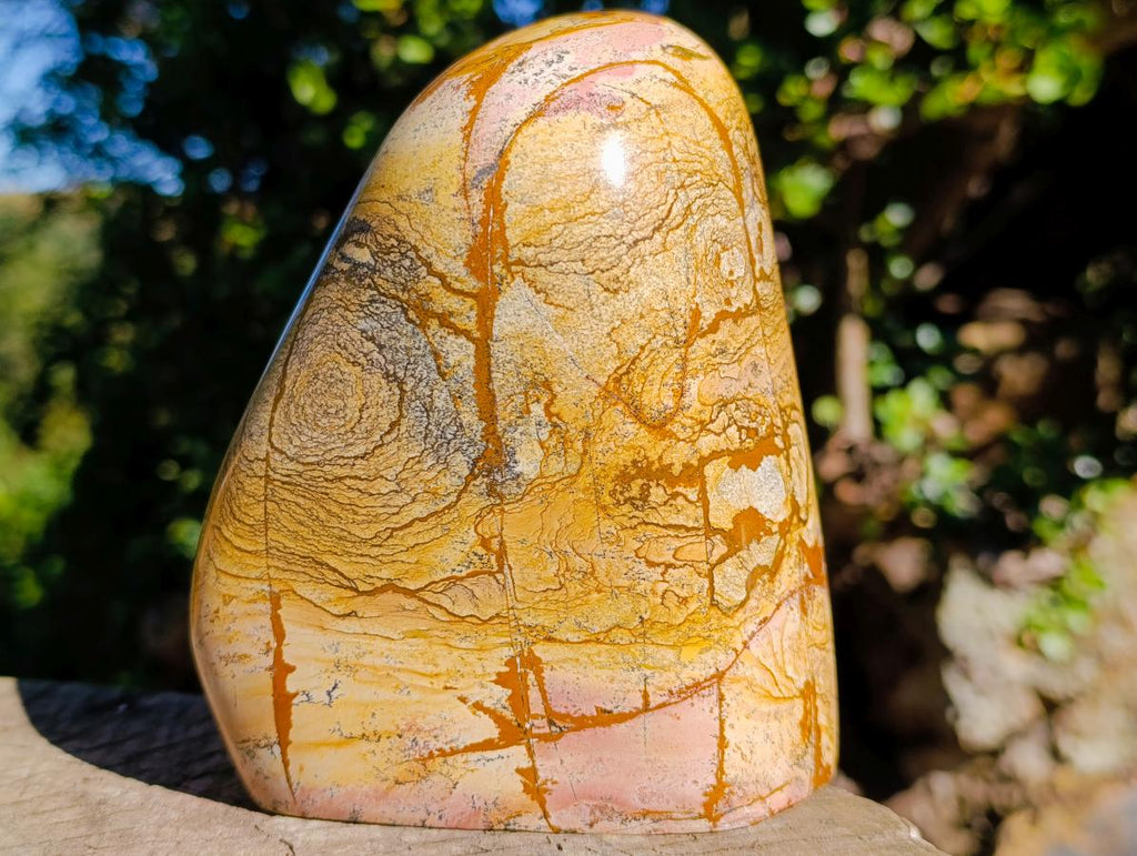 Polished Picture Stone Jasper Standing Display Pieces x 2 From Ais-Ais, Namibia - Toprock Gemstones and Minerals 