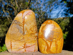 Polished Picture Stone Jasper Standing Display Pieces x 2 From Ais-Ais, Namibia - Toprock Gemstones and Minerals 