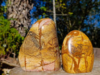 Polished Picture Stone Jasper Standing Display Pieces x 2 From Ais-Ais, Namibia - Toprock Gemstones and Minerals 