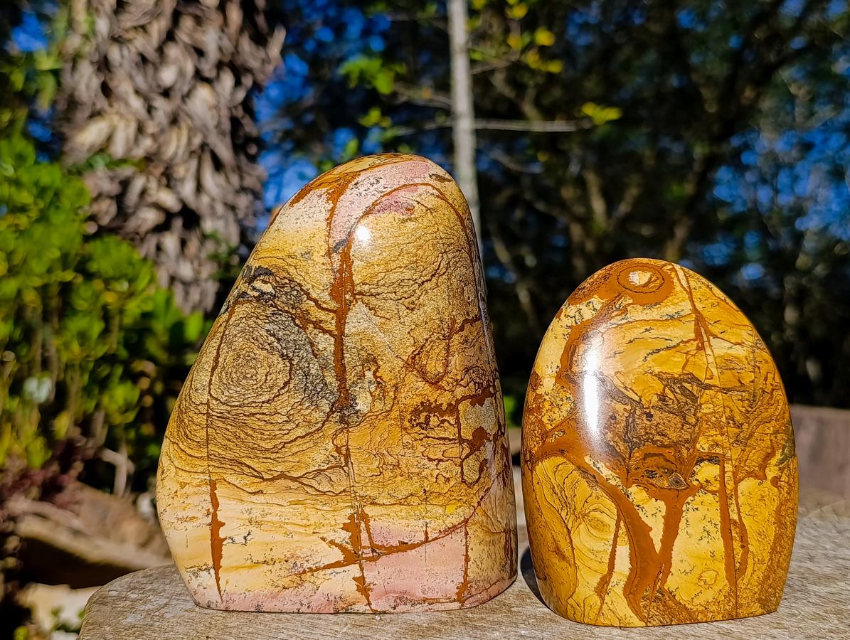 Polished Picture Stone Jasper Standing Display Pieces x 2 From Ais-Ais, Namibia - Toprock Gemstones and Minerals 
